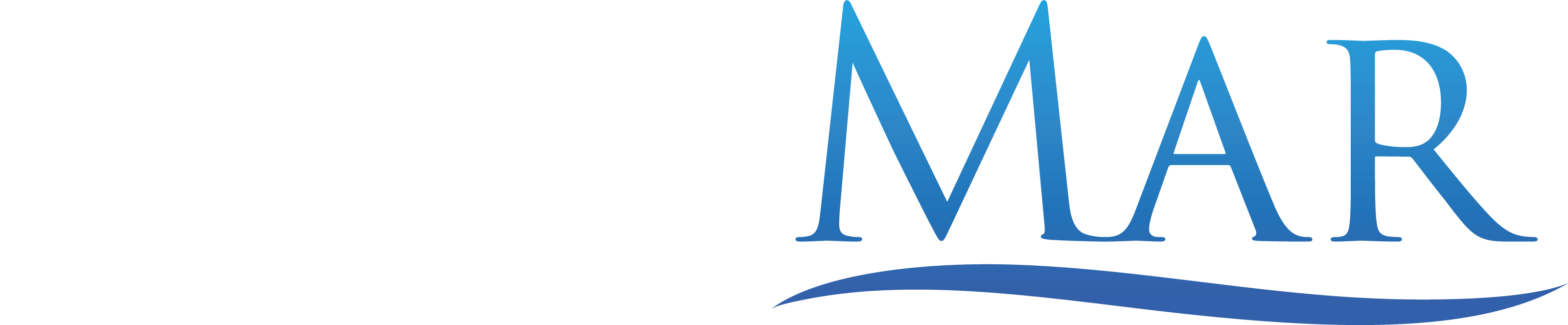 logo diremar neg